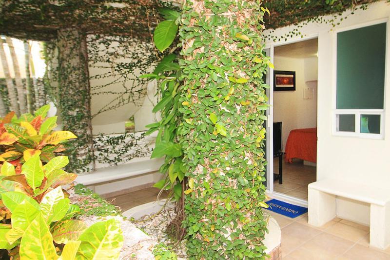 Bon Jesus Hotel La Vigueta Екстериор снимка